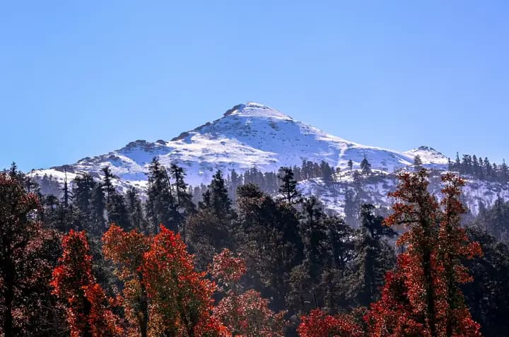 Kedarkantha trek