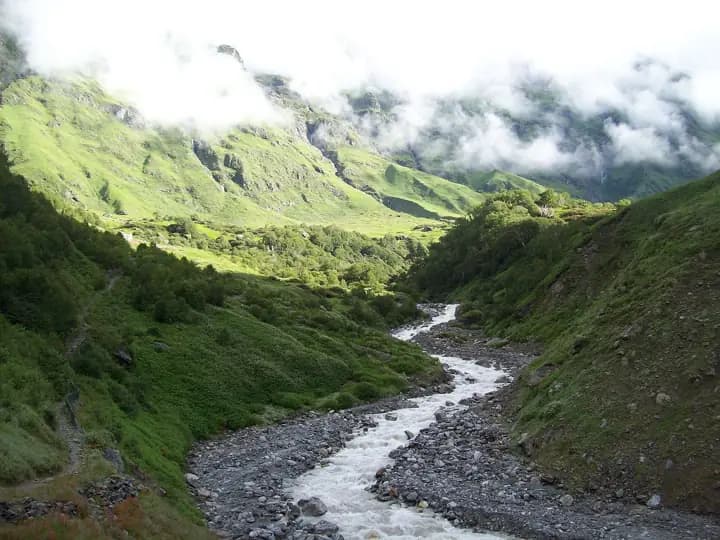 Valley of Flowers trek