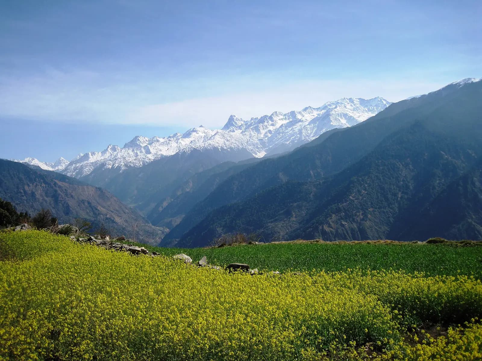 Dayara Bugyal — Amazing Scenery and View of Himalayas from Village Nateen, Trek Route to Dayara Bugyal