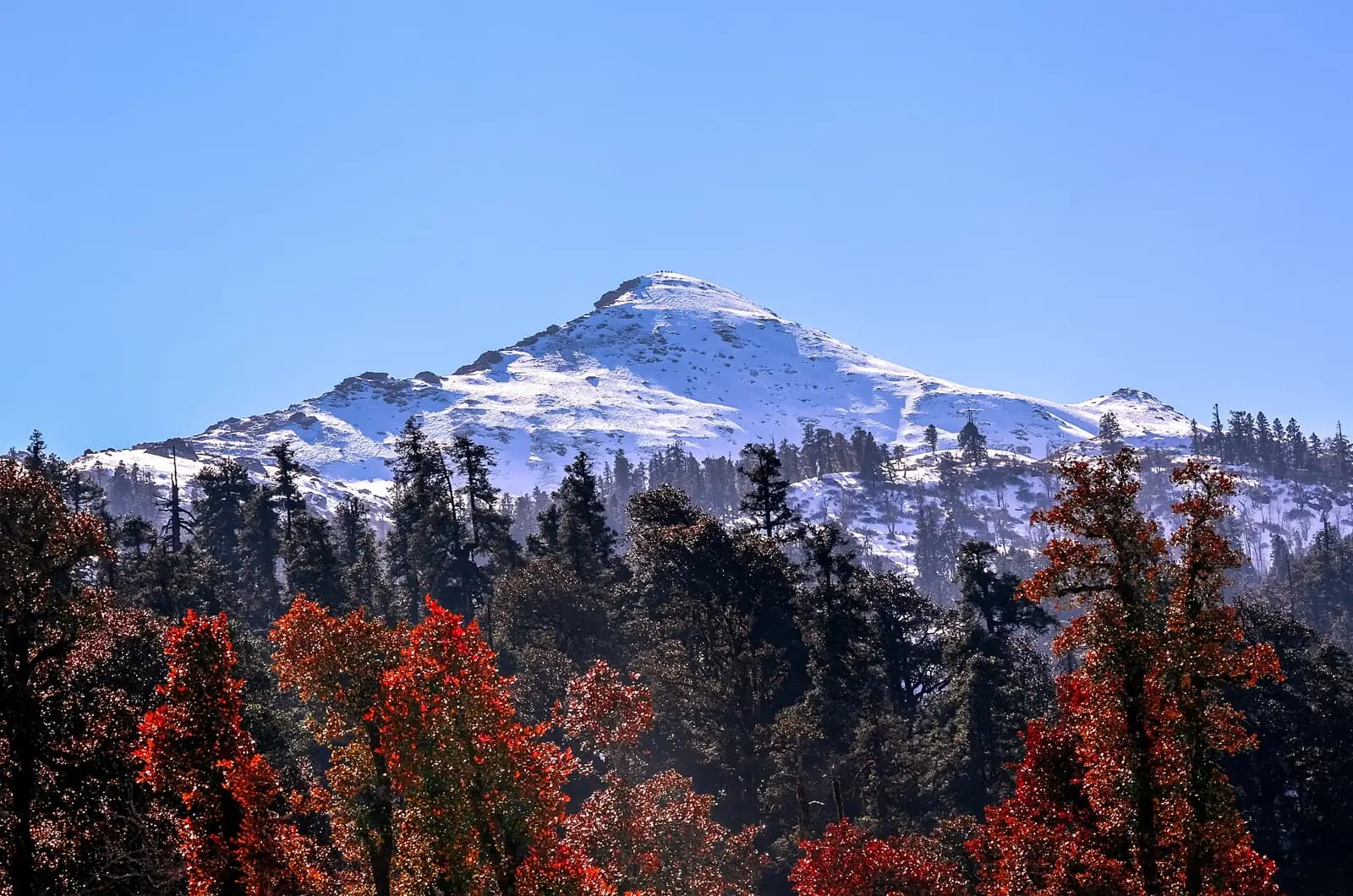 Kedarkantha — Kedarkantha peak offers beautiful views of Himalayas. It is located in Govind Wildlife sanctuary in Uttarkashi district
