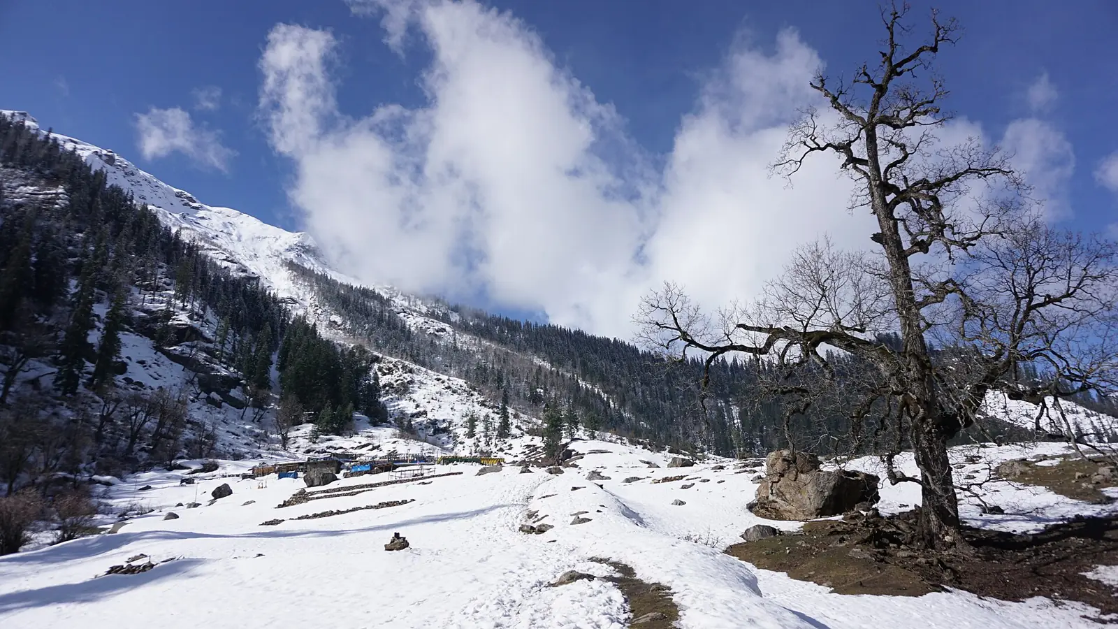 Kheerganga — Fresh snow fall at Kheerganga