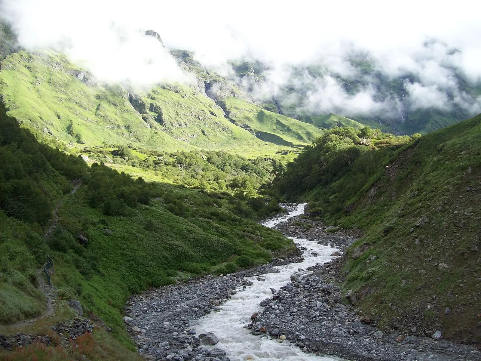 Valley of Flowers — Valley Of Flowers Bhyundar Valley Chamoli district of Uttrakhand India.